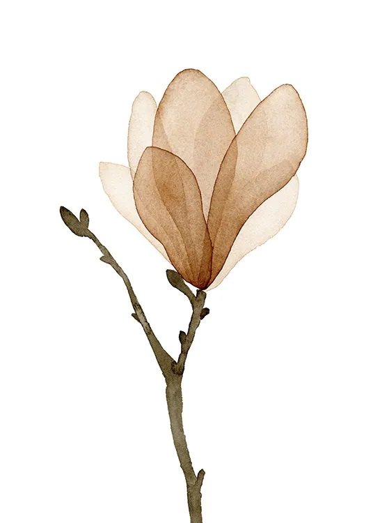 Jan Lacres